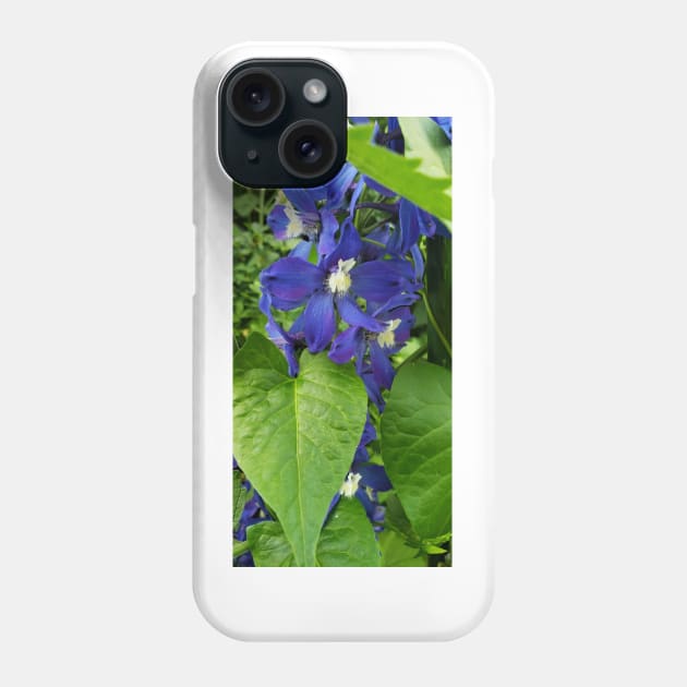 Deep blue delphinium blossoms Phone Case by Kim-Pratt