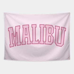 Malibu California Preppy Pink Varsity Tapestry