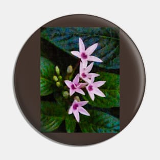 The Pink Star Flower Pin