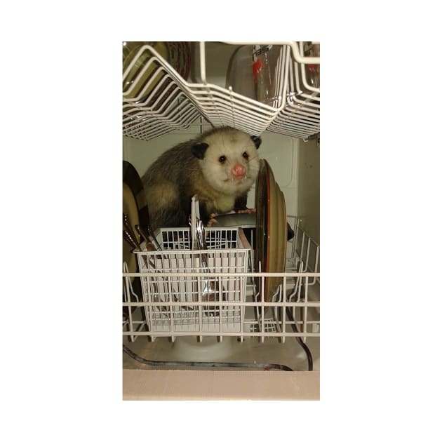 Dishwasher Possum by FlashmanBiscuit