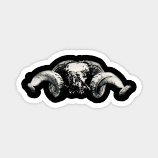 Ram Skull Magnet