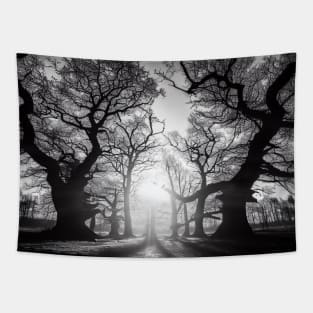 Sunlit Grove: Monochrome Majesty Tapestry