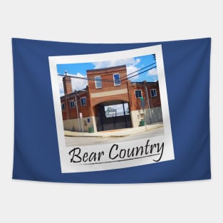 Bear Country Tapestry