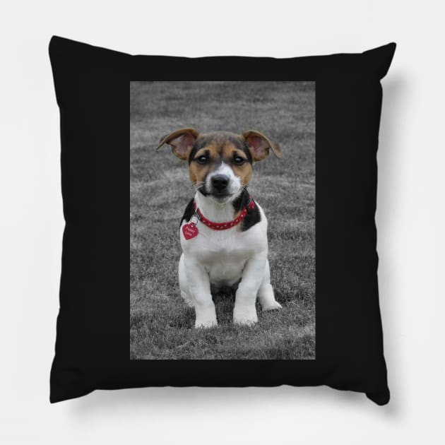 They Call It Puppy Love Pillow by AH64D