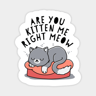 Are you kitten me right meow Magnet