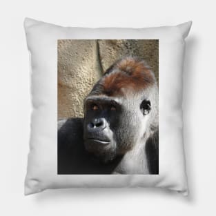 Gorilla Pillow