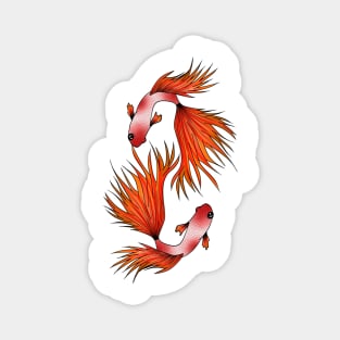 betta fish,fish lover,colorful fish,aquarium Magnet