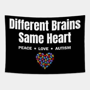 Different Brains Same Heart Tapestry