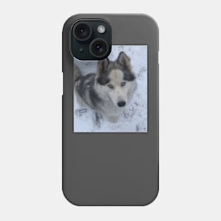 Winter husky Phone Case