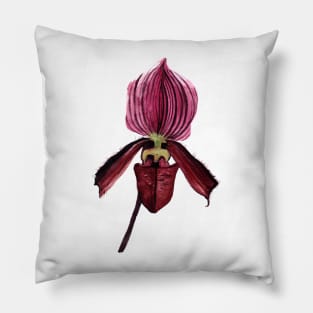 Slipper Orchid Pillow