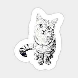 Cats Print Magnet