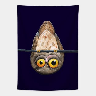 Upside down owl Tapestry