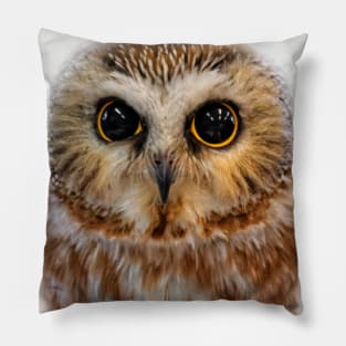 Closeup of a Cute Northern Saw Whet Owl Pillow