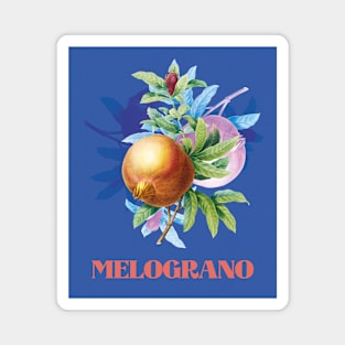 Melograno Magnet