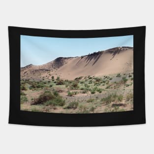 Southern Gobi Desert Mongolia Tapestry