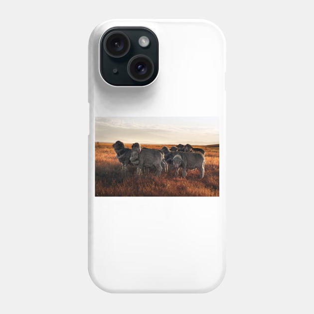 Merino Sheep in the Sunset Phone Case by kawaii_shop