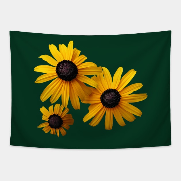 Black Eyed Susans - Three Black-Eyed Susans Tapestry by SusanSavad