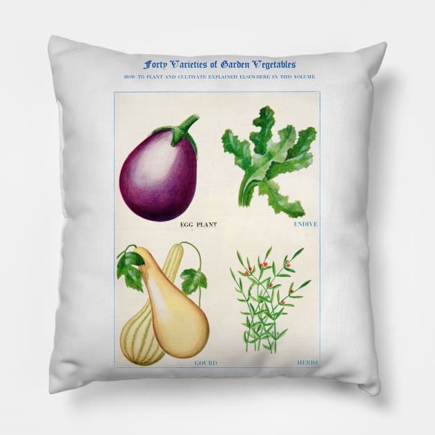 Garden Vegetable watercolor illustration (1915) Pillow by WAITE-SMITH VINTAGE ART