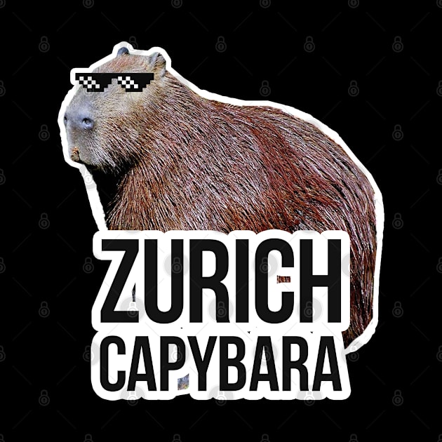 Zurich capybara meme by NeedsFulfilled