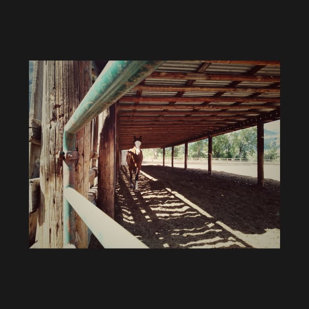 Horse stable. Canadian countryside with farm animal concept. by Nalidsa