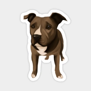 Cute Staffordshire Bull Terrier Drawing Magnet