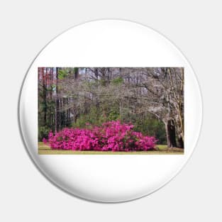 Beauty In The Woods Pin