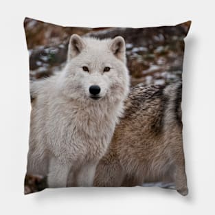 Double Trouble Pillow