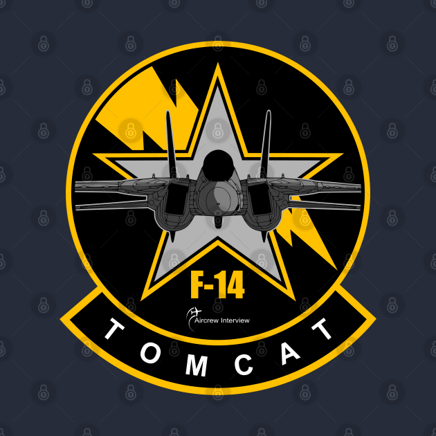 F-14 Tomcat by Aircrew Interview