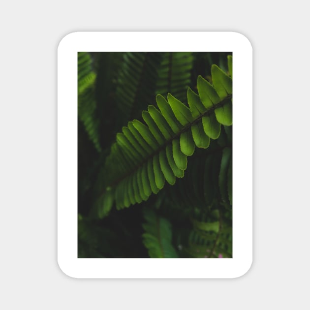 Green leafed plant photo Magnet by mydesignontrack