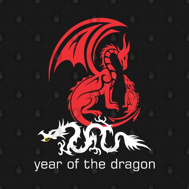 year of the dragon by Qasim