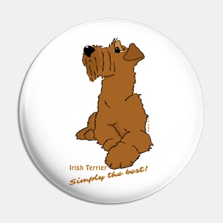 Irish Terrier - Simply the best! Pin