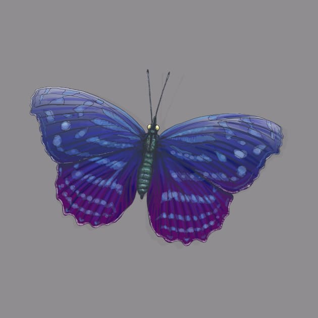 butterfly by Mko_Shekhyan