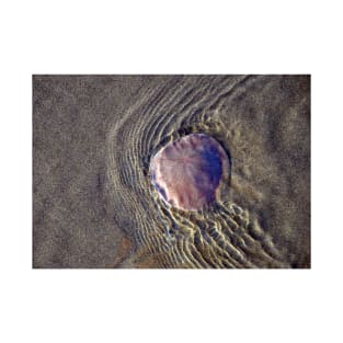 Sand Dollar Ripples - Oregon Coast T-Shirt