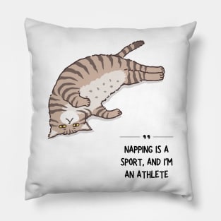Funny Sayings From A Cat Pillow