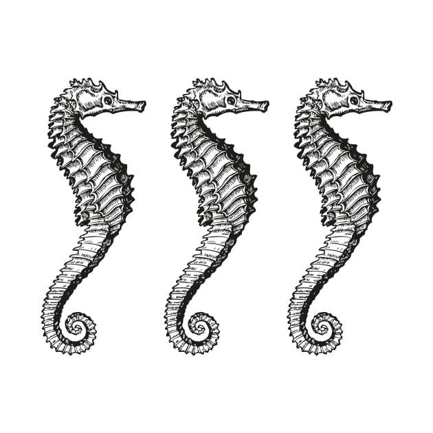 Seahorse Trio | Vintage Seahorses | Three Seahorses | by Eclectic At Heart