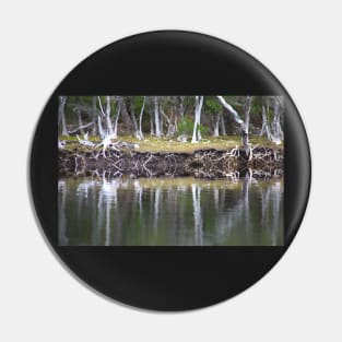 Reflections Along Melaleuca Creek Pin