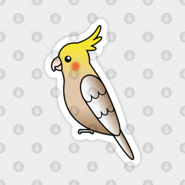 Cinnamon Cockatiel Bird Cute Cartoon Illustration Cockatiel Magnet Teepublic That sometimes come from nowhere through an open window. cinnamon cockatiel bird cute cartoon illustration