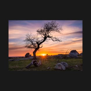 Sunset at Dog Rocks T-Shirt