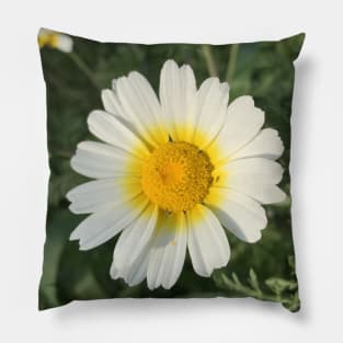 A simple flower Pillow