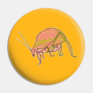 Rose-tinted katydid or Eulophophyllum kirki, just a friendly flamingo-pink insect Pin