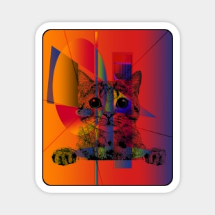 HYPNOSIS CAT Abstract Magnet