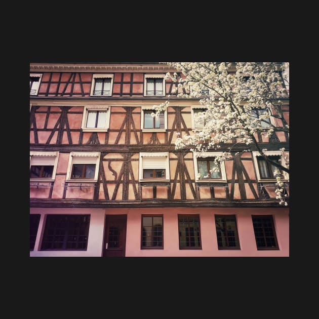 pink facade by psychoshadow