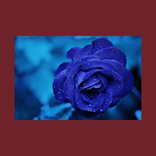 Blue rose by Rivas Teepub Store