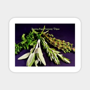 Parsley Sage Rosemary and Thyme Magnet