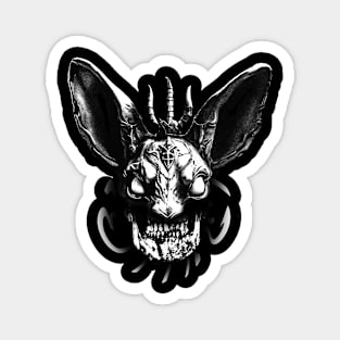 Lagomorph Magnet