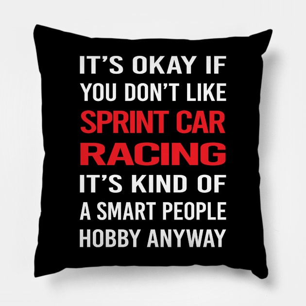 Smart People Hobby Sprint Car Cars Racing Pillow by relativeshrimp