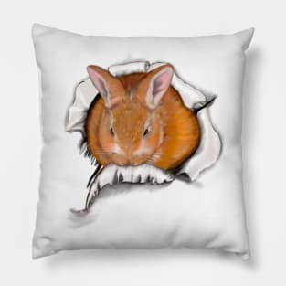 Ginger bunny rabbit bursting through hole   - cute ginger bunny rabbit white background Pillow