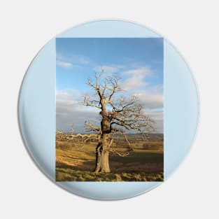 Old Oak Tree Pin