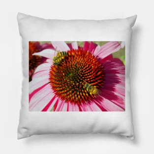 Honey Bees Macro on Echinacea Flower of Summer Pillow