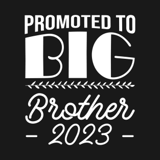 Promoted To Big Brother Sibling Pregnancy Announcement T-Shirt